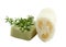 Natural luff sponge, thyme aromatic soap, isolated