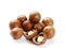 Natural macadamia nuts