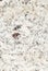 Natural marble Kashmir White