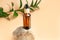 Natural medicine or aroma oil or beauty essence with dropper on stone podium stand with green ruskus branch on beige