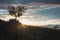 Natural minimalist backlit landscape where you can see plants, grass, a tree on the hill and a cloudy sky as well as the sun`s ray