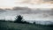 Natural minimalist landscape where grass, an agave on the hill and a cloudy sky are appreciated.