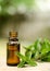 Natural Mint Essential Oil in a Glass Bottle