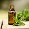 Natural Mint Essential Oil in a Glass Bottle with Fresh Mint Leaves