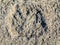 Natural monument of fossil dinosaur footprints in Serra D `Aire in Pedreira do Galinha, in Portugal. A pedagogical circuit was cre