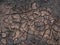Natural mosaic formed by cracks in dry soil. Dead nature. Background and texture.