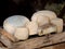 Natural mountain cheeses made in traditional way in European Al