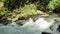 Natural mountain river landscape, water stream surrounded by greenery in motion