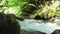 Natural mountain river landscape, water stream surrounded by greenery in motion