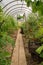 Natural native tomatoes and cucumbers in a greenhouse in the garden