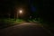 Natural night park with lonely scary asphalt road and street electricity lantern with glare of light effect