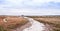 Natural oasis landscape with one of its canal