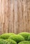 Natural old wood plank wall with green bush leaves of vintage house, use for wooden artwork design