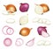 Natural onion. Kitchen healthy food sliced vegetables for eating salad decent vector realistic products illustrations
