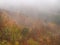 Natural orange colors of fall forest, foggy scene