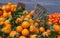 Natural Oranges on the Market