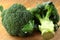 Natural organic broccoli