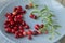 Natural organic cranberry berries in bright red color on blue plate