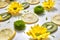 Natural organic diagonally floral patter from spring flowers, kiwi and lemon slices. Summer flowers background.