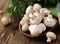 natural organic mushrooms champignons