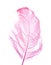 Natural ostrich feather dyed lilac-pink;