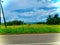 Natural paddy fields in Sri Lanka with blue sky