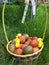 Natural Painted Easter Eggs Arrangement in a Basket