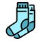 Natural pair socks icon color outline vector