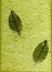 Natural paper with leaves, (hight resolution)