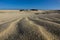 The natural Park in Corralejo the canary-islands Spain