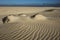 The natural Park in Corralejo the canary-islands Spain