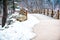 natural park covered by snowy yard and the stone bridge in winter season background is high pines mountain