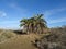 Natural Park of Maspalomas. Gran Canaria Island. Spain.