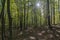 Natural park of Montseny in autumn, Barcelona