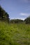 Natural path going through a wildflower and grass meadow.