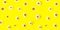 Natural pattern from fresh chamomiles on bright yellow background.Large banner