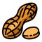 Natural peanut icon, outline style