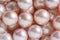 Natural pearls closeup jewellery collection