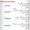 Natural penicillins antibiotic drug molecule. Benzylpenicillin , phenoxymethylpenicillin, almecillin. Structural chemical formula