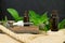 Natural peppermint essential oil in a glass bottle with fresh mint leaves on wooden background