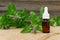 Natural peppermint essential oil in a glass bottle with fresh mint leaves on wooden background