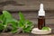 Natural peppermint essential oil in a glass bottle with fresh mint leaves on wooden background