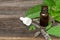 Natural peppermint essential oil in a glass bottle with fresh mint leaves on wooden background