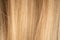 Natural piece locks of white smooth hair illuminated by light. Women's well groomed combed blond hair. Macro