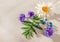 Natural pills and flower composition on white textured background as alternative herb medicine