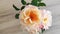 Natural pink-orange rose flowers on wooden background