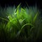 Natural planted grass green grass grown long, fresh freshly watered- Generated Artificial Intelligence - AI