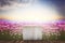 Natural podium backdrop with dreamy flower field. Generative AI