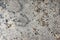 Natural polished gray granite with dark specks