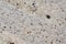 Natural polished stone granite, called Kashmir White